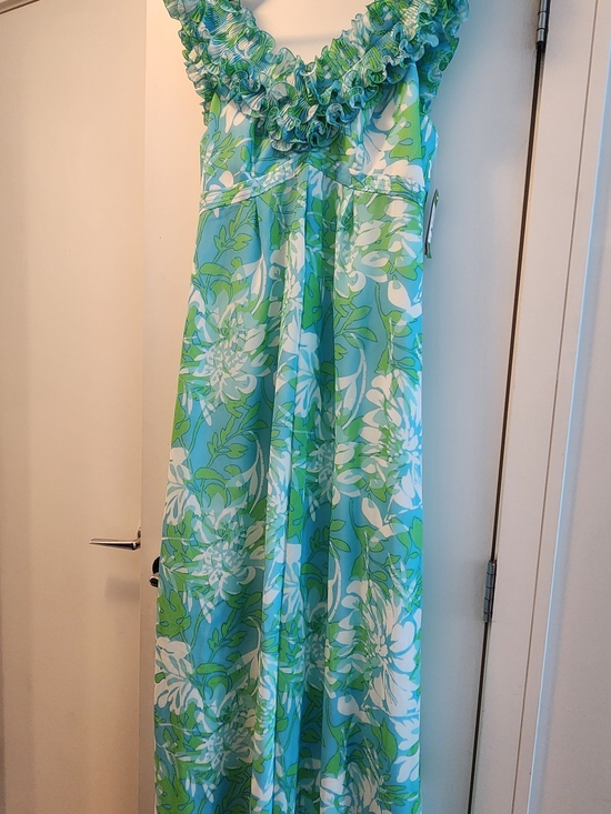 Lilly Pulitzer Dresses & Skirts - Lilly Pulitzer Aqua & Lime Floral Chiffon Maxi Dress